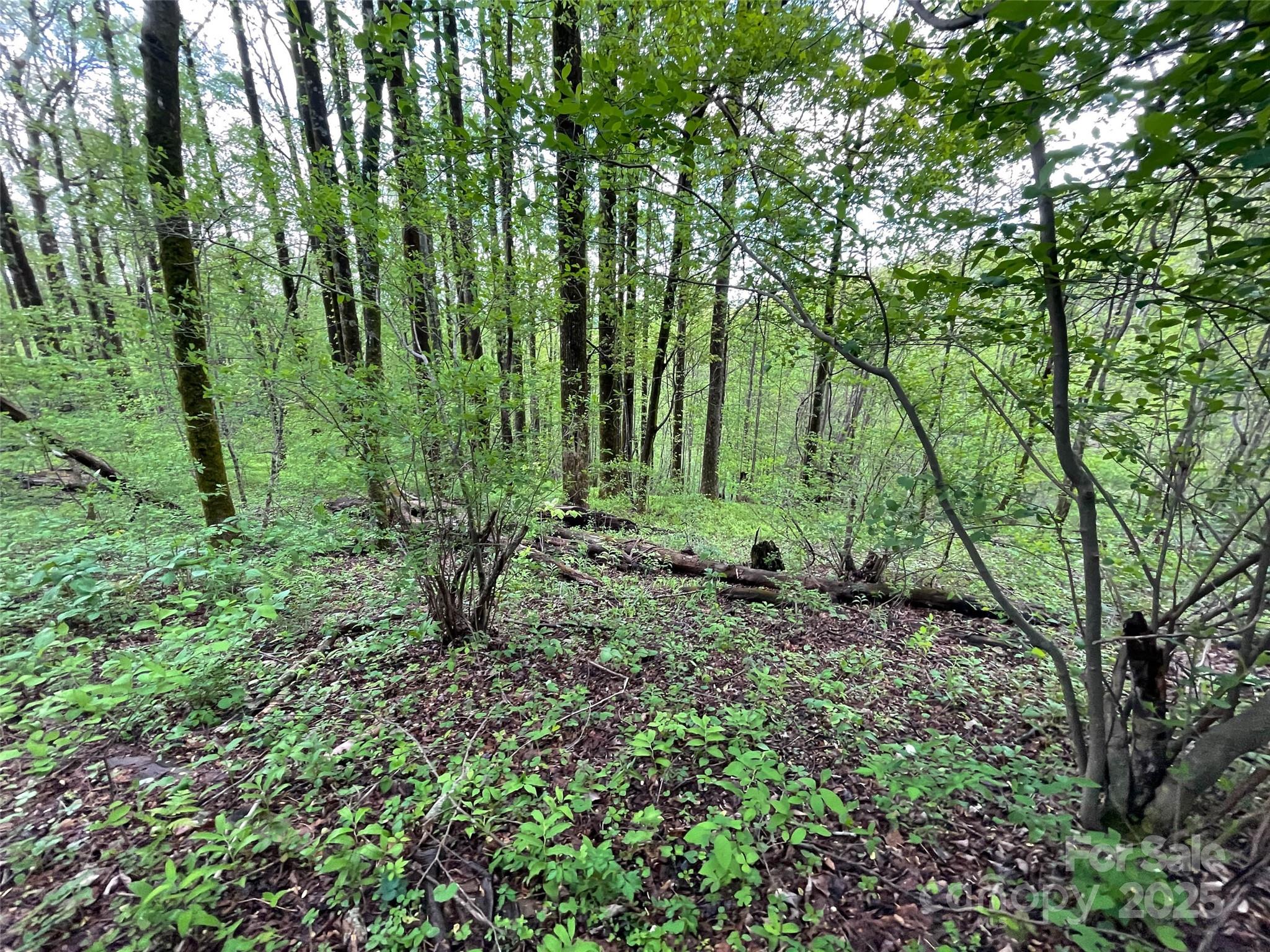 Off Pine Mountain Drive Property Photo 29