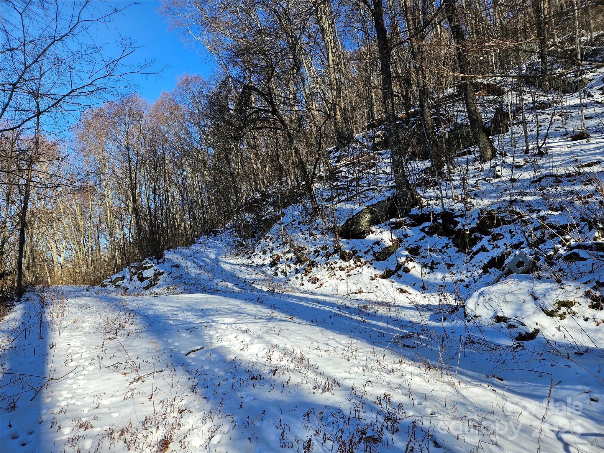 00 Marney's Vista Road Property Photo 3