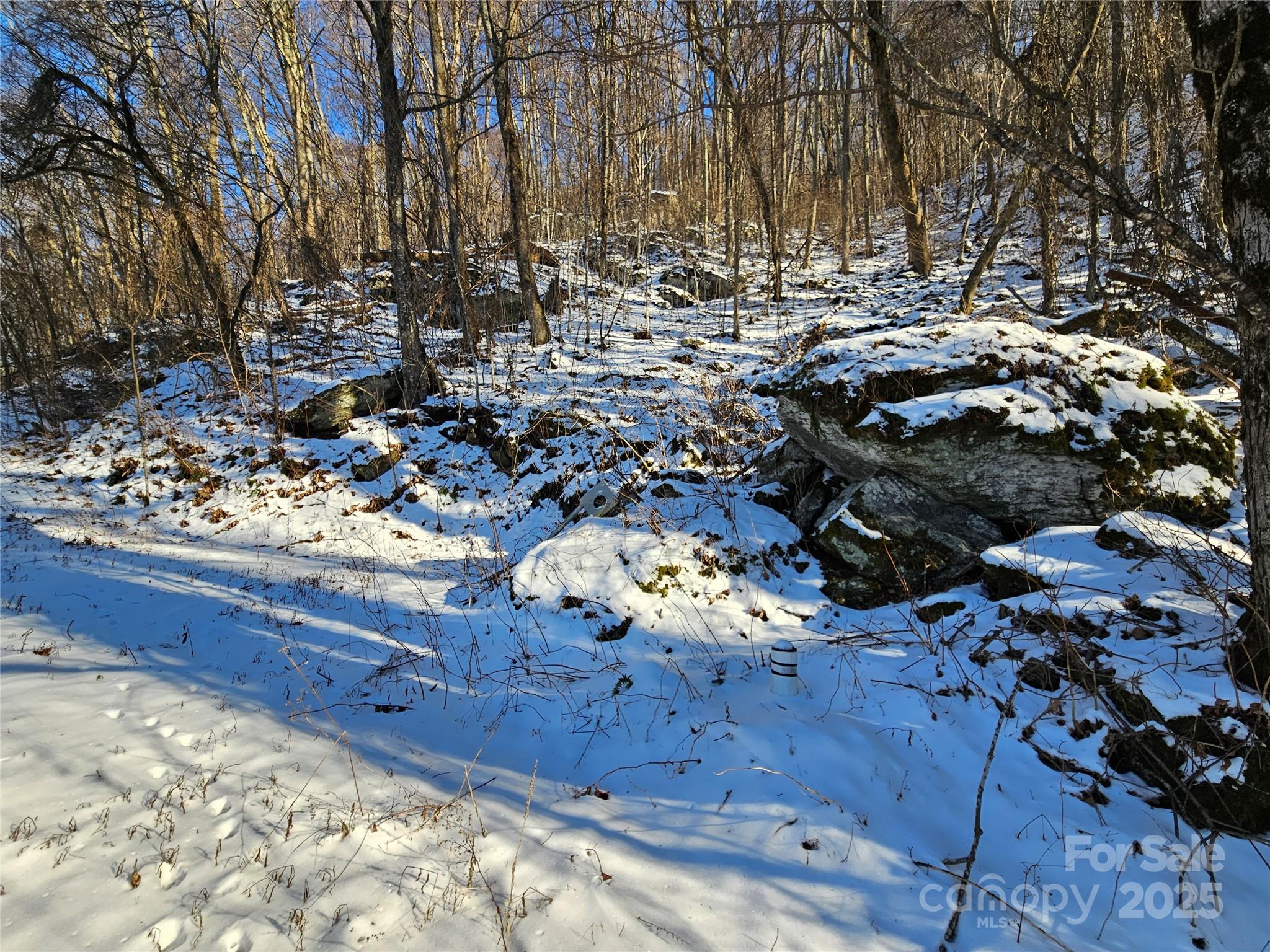 00 Marney's Vista Road Property Photo 4