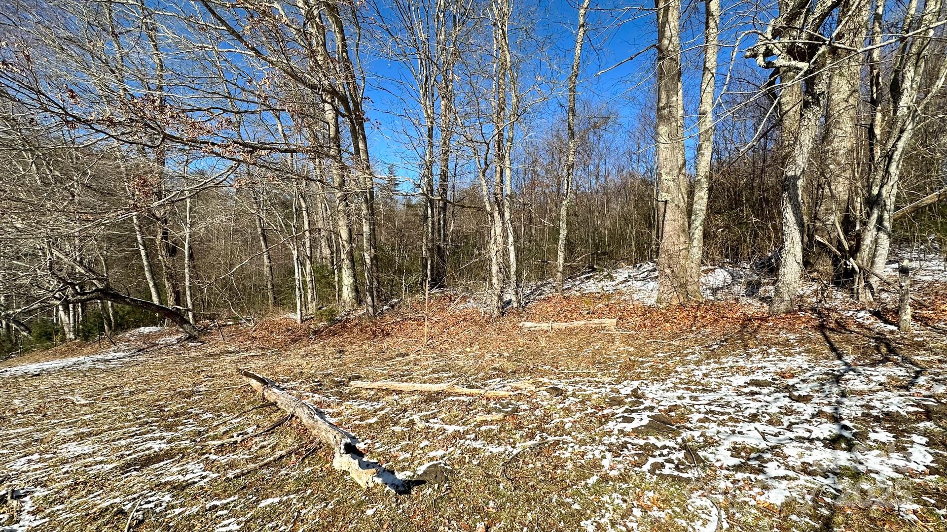 Tbd Lower Nettle Knob Road Tract 2 Property Photo 3