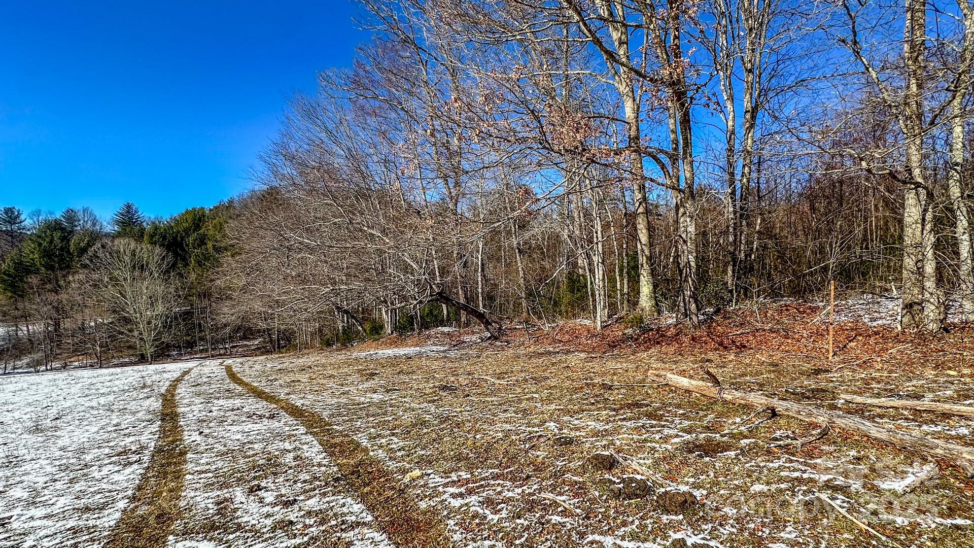 Tbd Lower Nettle Knob Road Tract 2 Property Photo 5