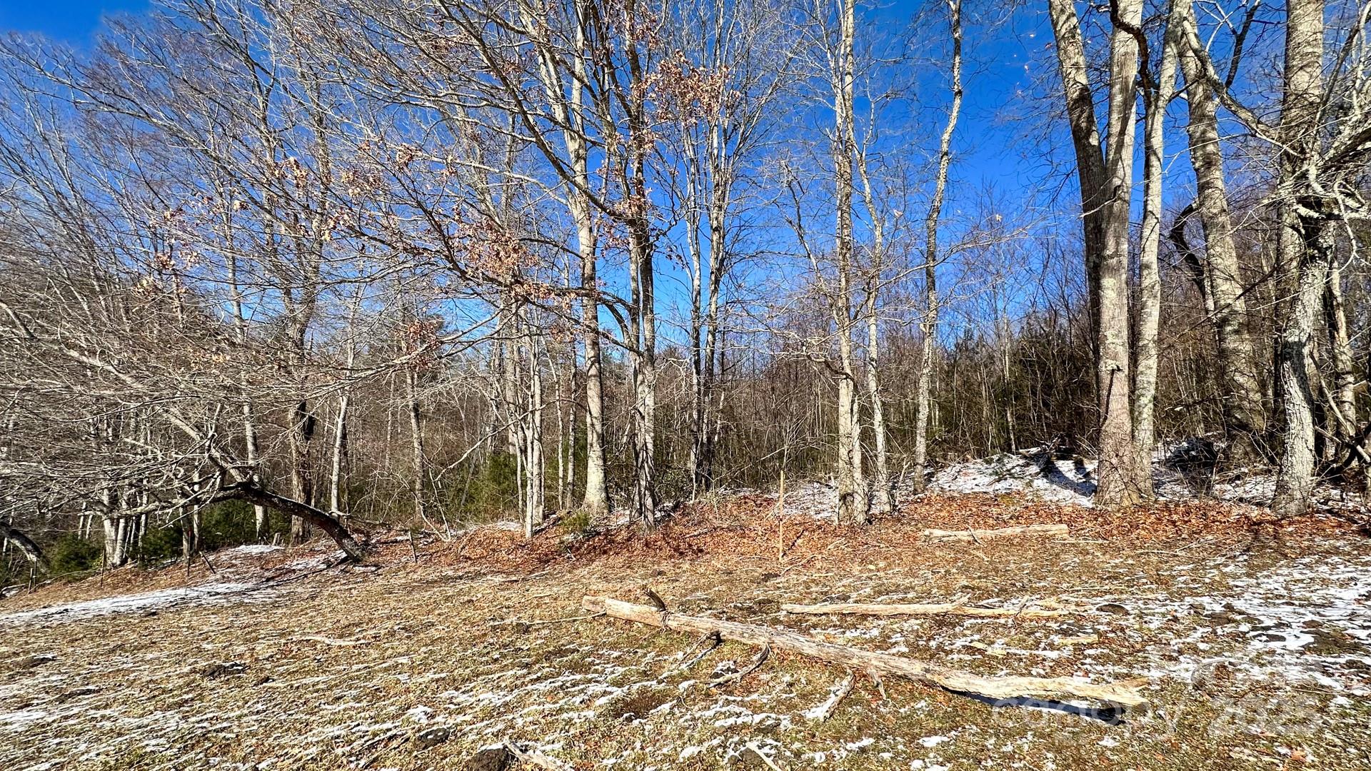 Tbd Lower Nettle Knob Road Tract 2 Property Photo 6