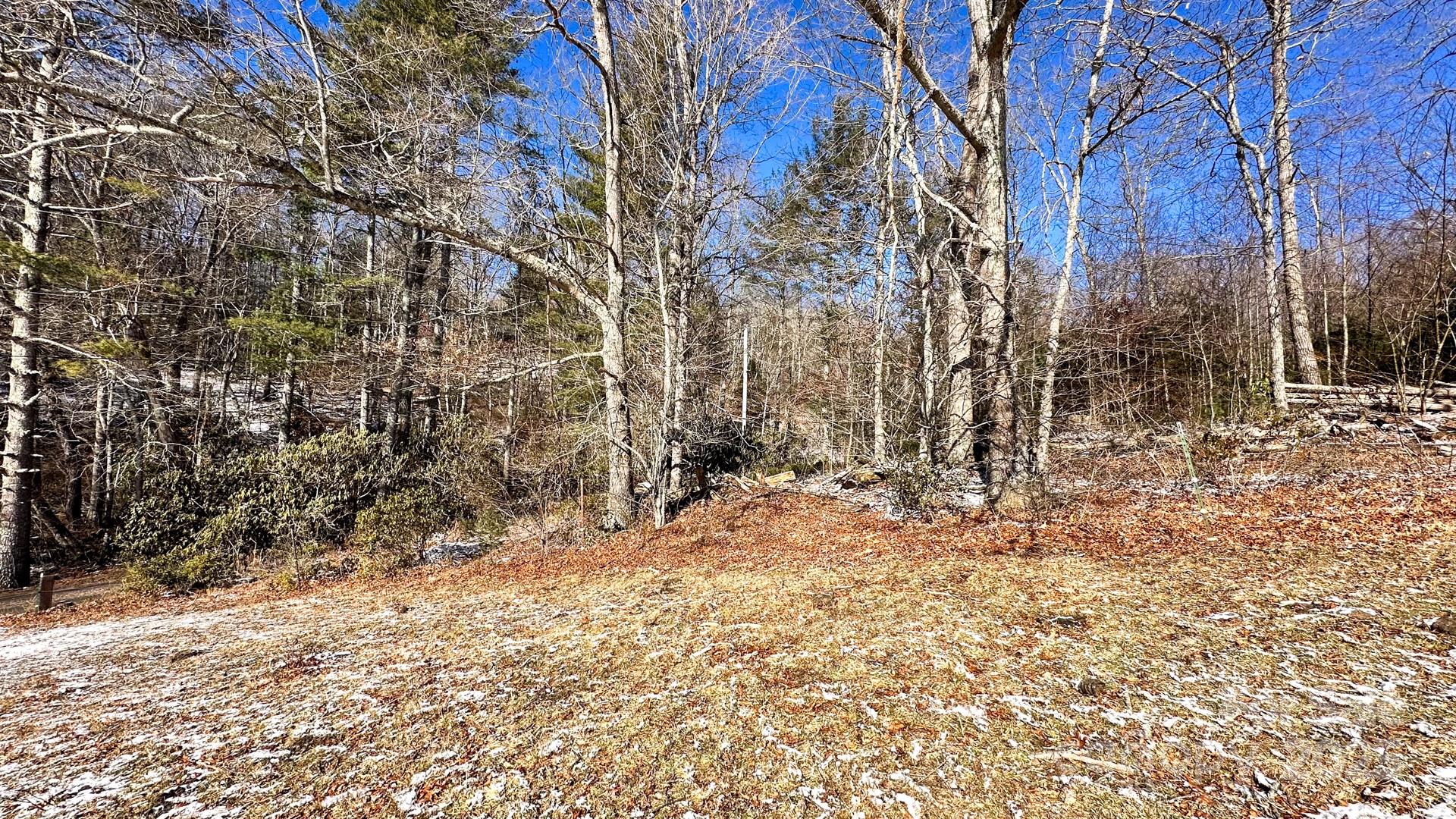 Tbd Lower Nettle Knob Road Tract 2 Property Photo 8
