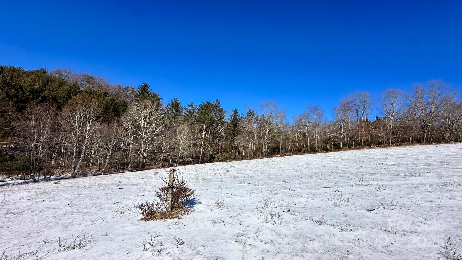 Tbd Lower Nettle Knob Road Tract 2 Property Photo 9