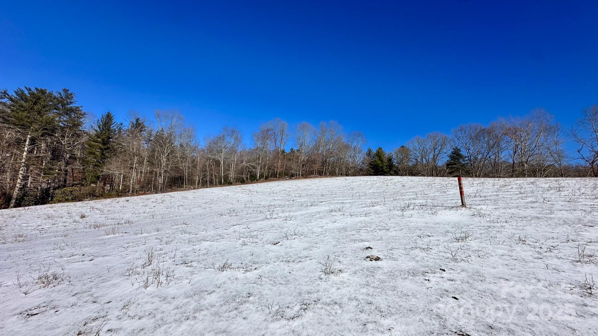 Tbd Lower Nettle Knob Road Tract 2 Property Photo 10