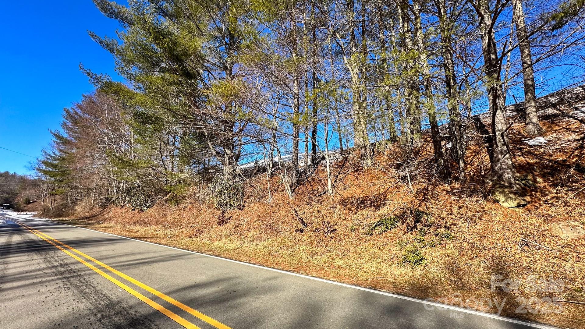 Tbd Lower Nettle Knob Road Tract 2 Property Photo 16