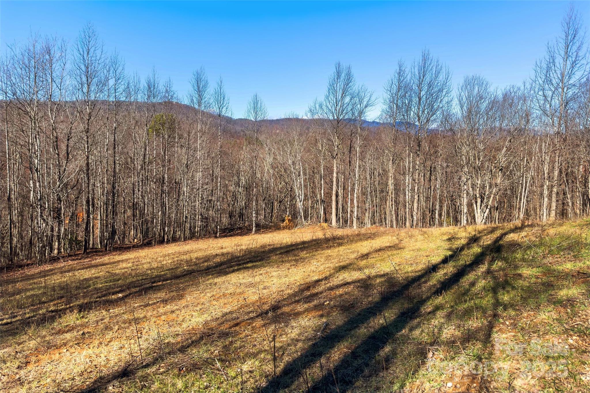 9999 Cell Tower Road Property Photo 6