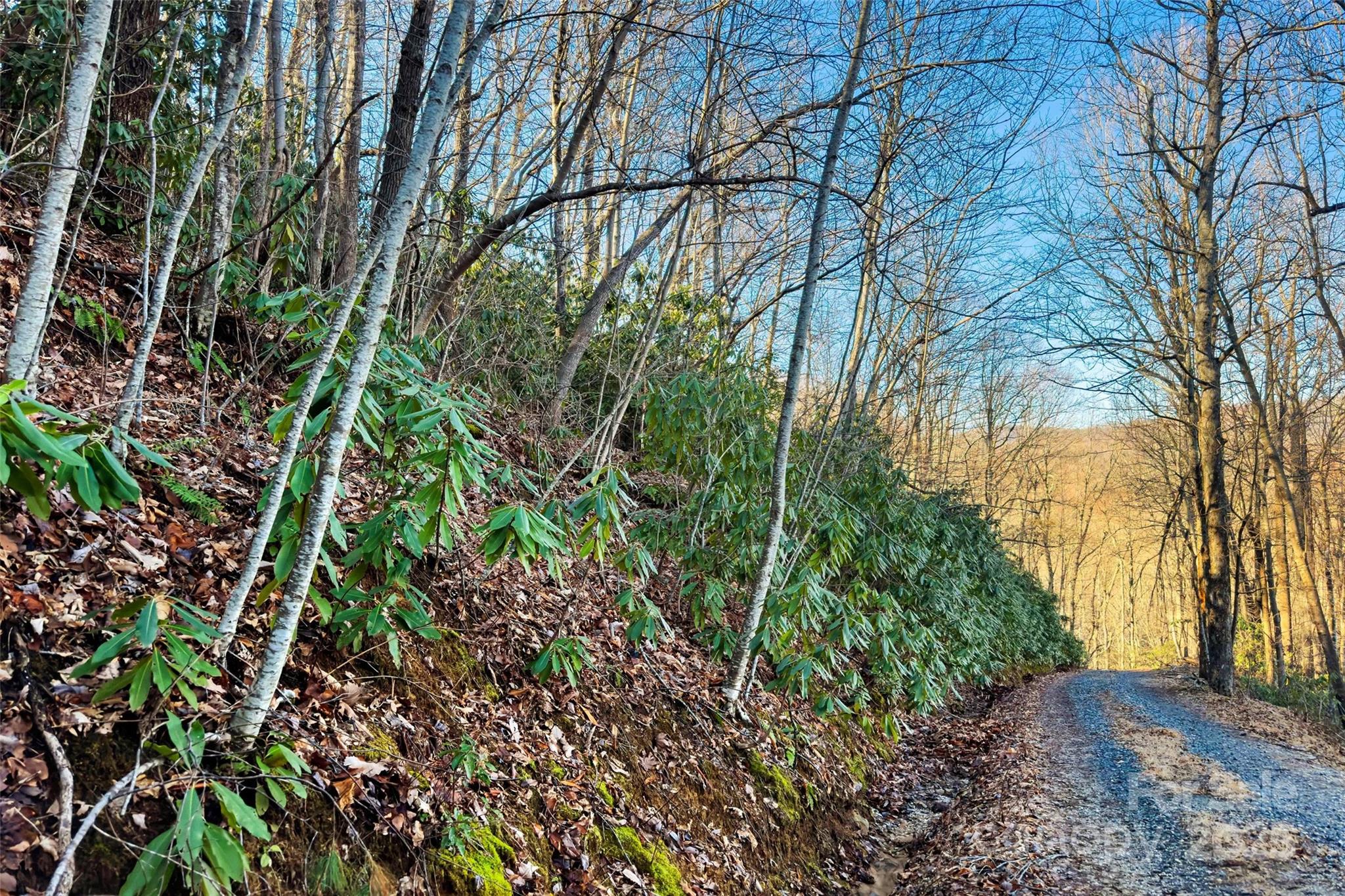 9999 Cell Tower Road Property Photo 8