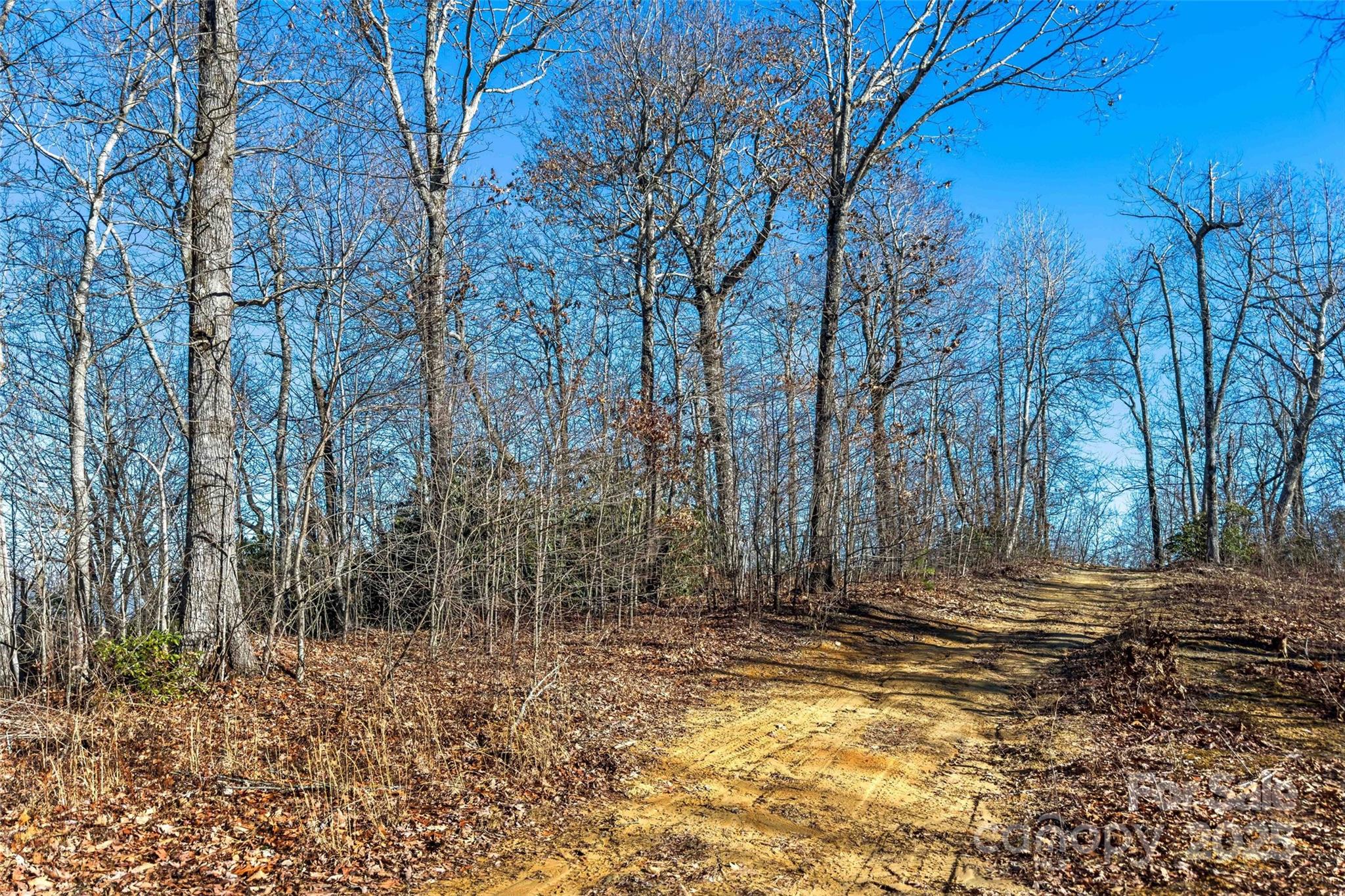 9999 Cell Tower Road Property Photo 11