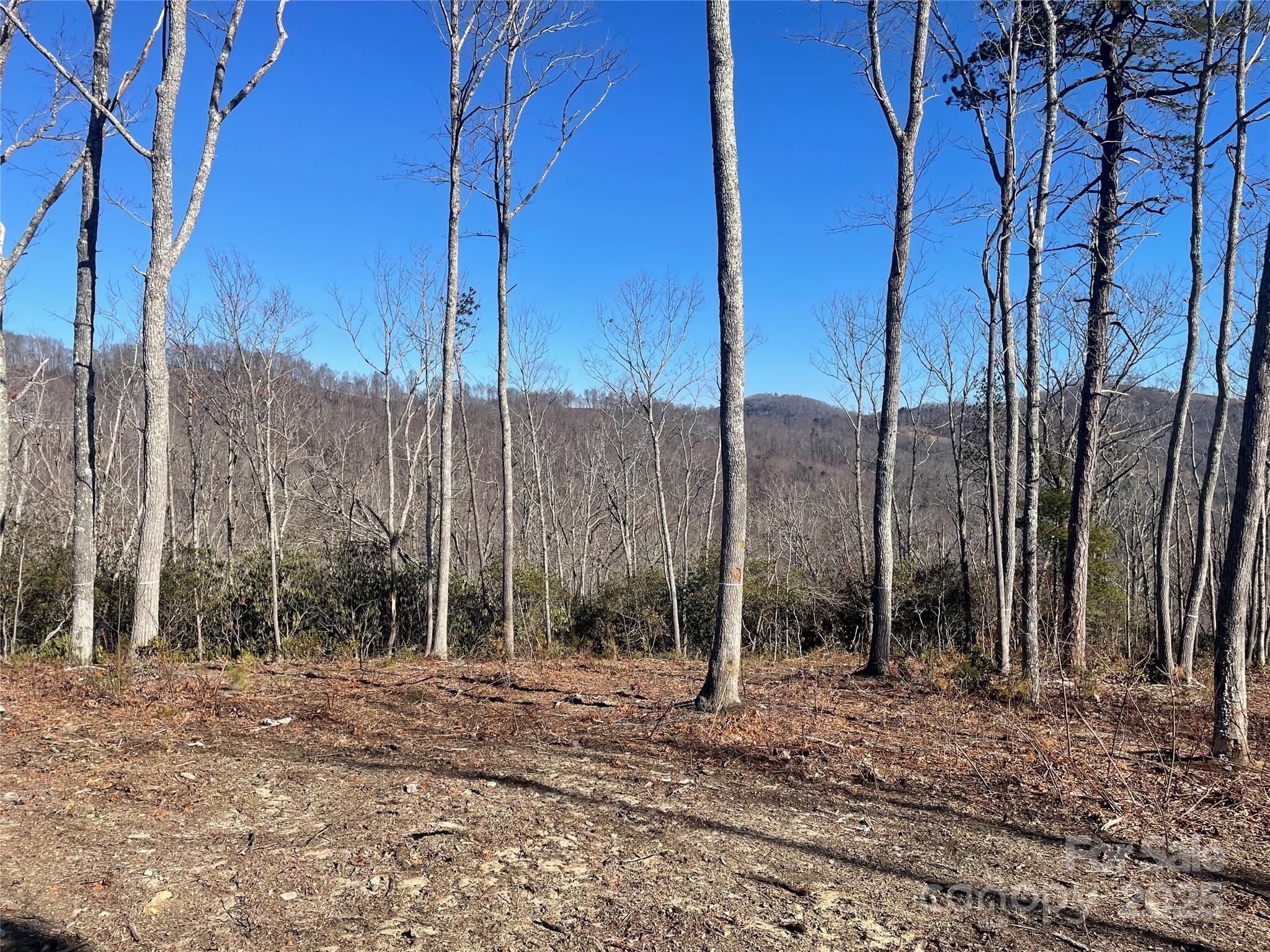 0000 Mountain Grove Lane 59 Property Photo 1