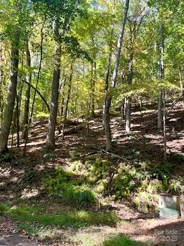 Tbd Hickory Vista Lane 101, 102, 103, 106, 107 Property Photo