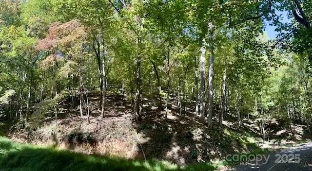 Tbd Hickory Vista Lane 101, 102, 103, 106, 107 Property Photo 6