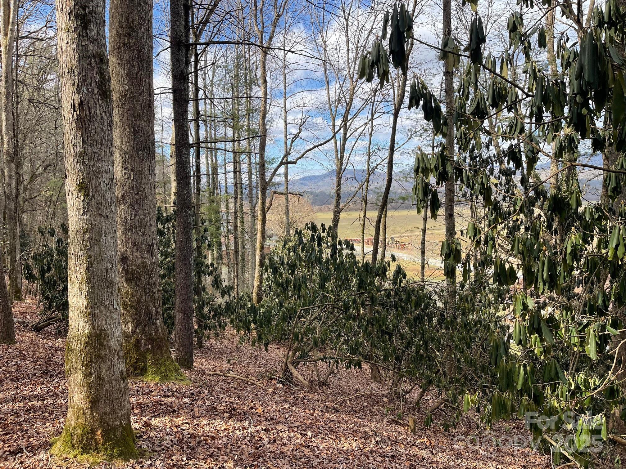 Lot 4-r Middlemount Road Property Photo