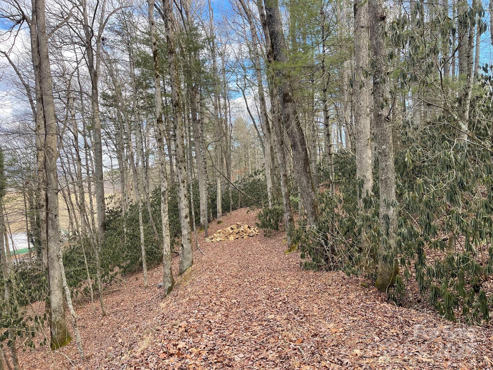 Lot 4-r Middlemount Road Property Photo 3