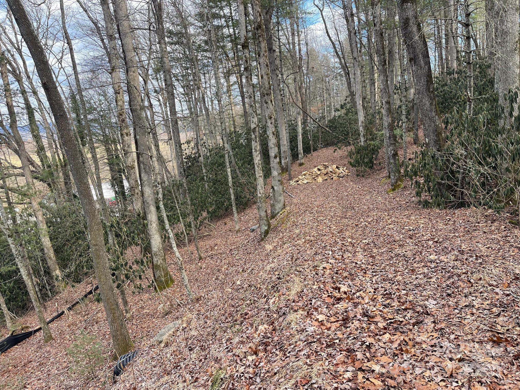 Lot 4-r Middlemount Road Property Photo 4