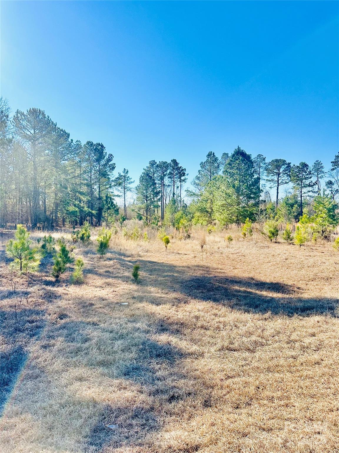 2361 Mill Creek Road Property Photo 3