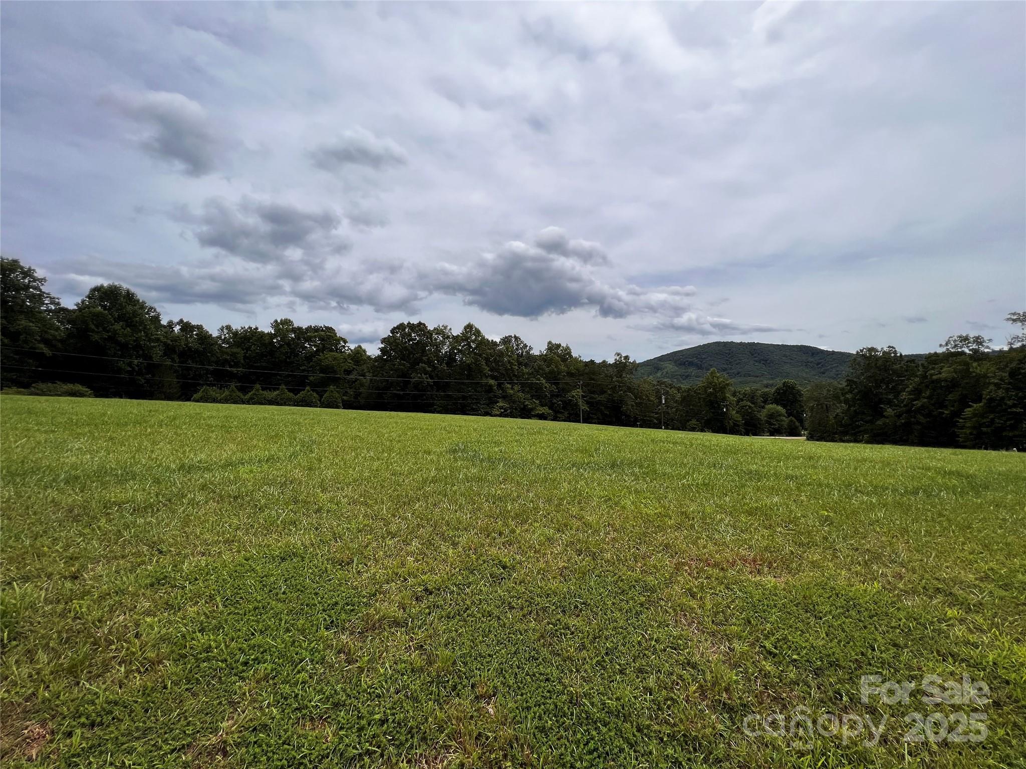 81 Grace Estates Drive Property Photo 10