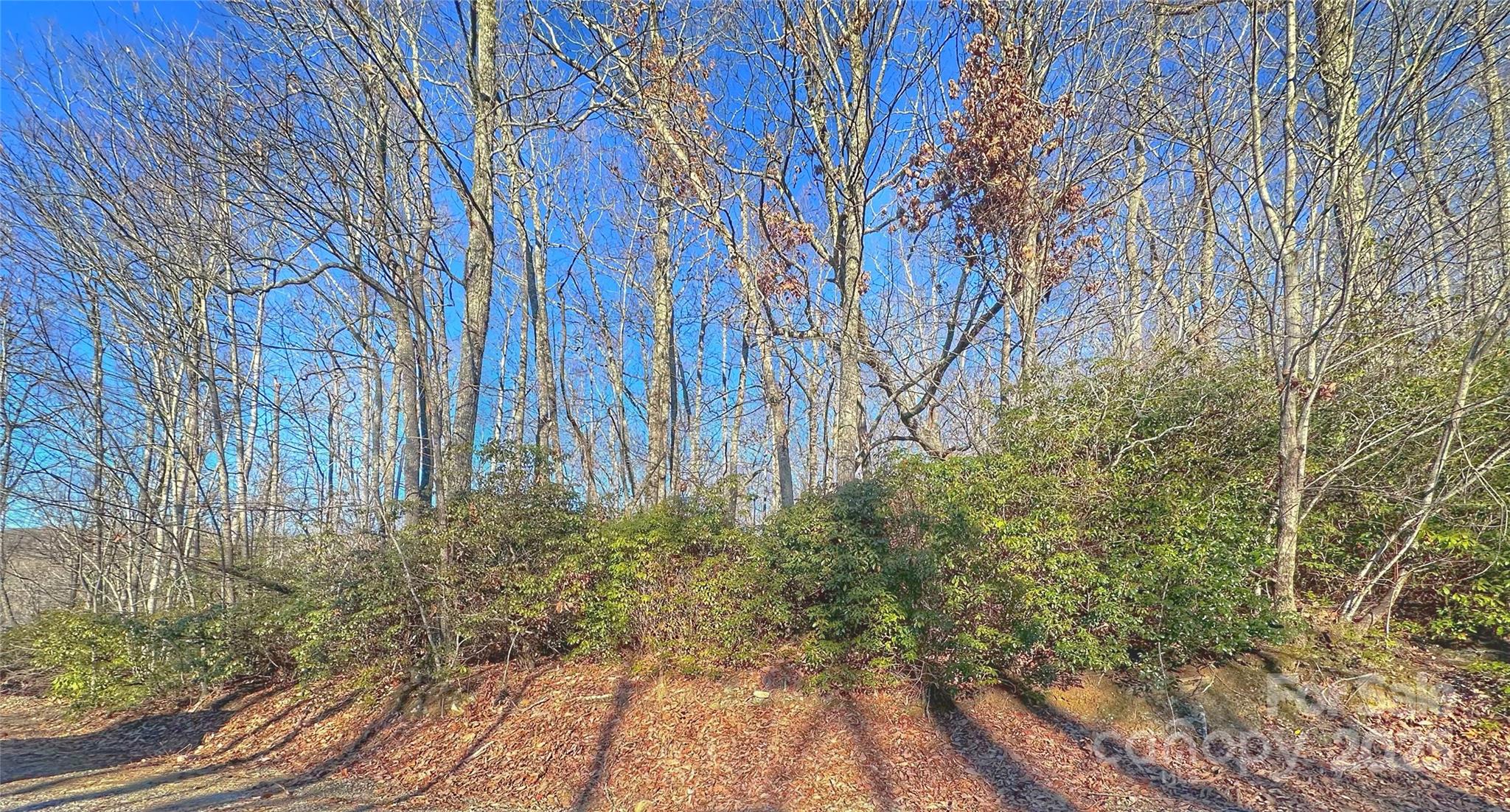 13 Rolling Ridge Trail Property Photo 4