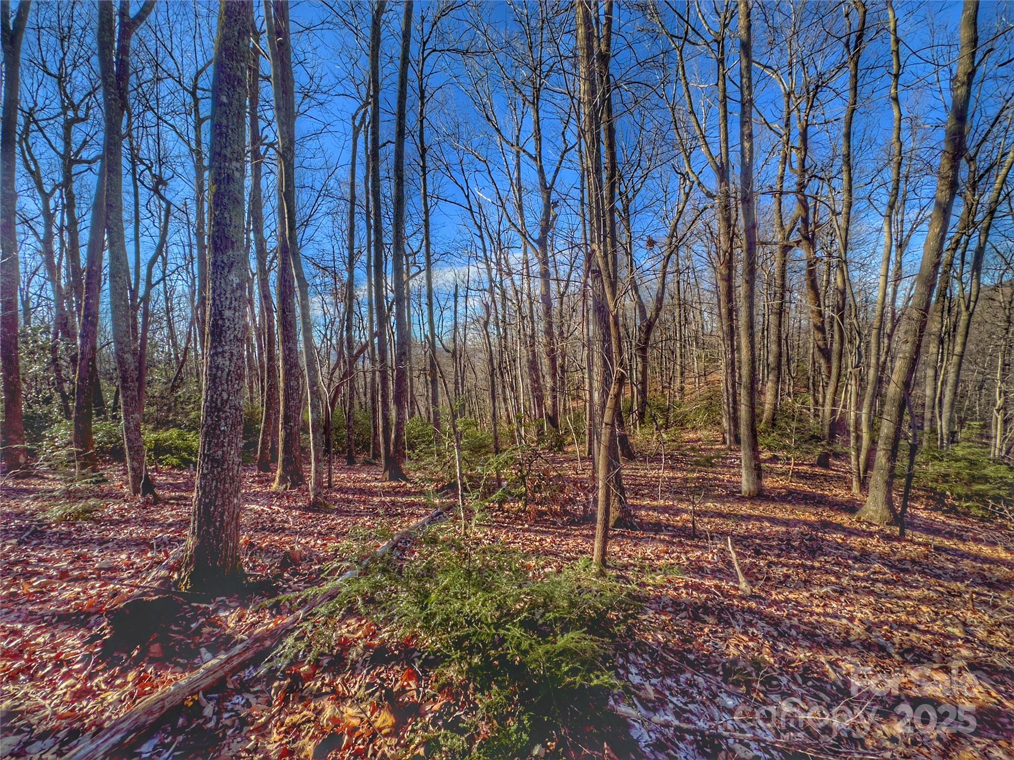 13 Rolling Ridge Trail Property Photo 6