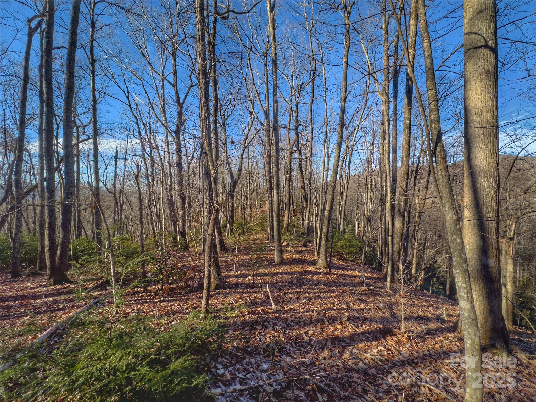 13 Rolling Ridge Trail Property Photo 7