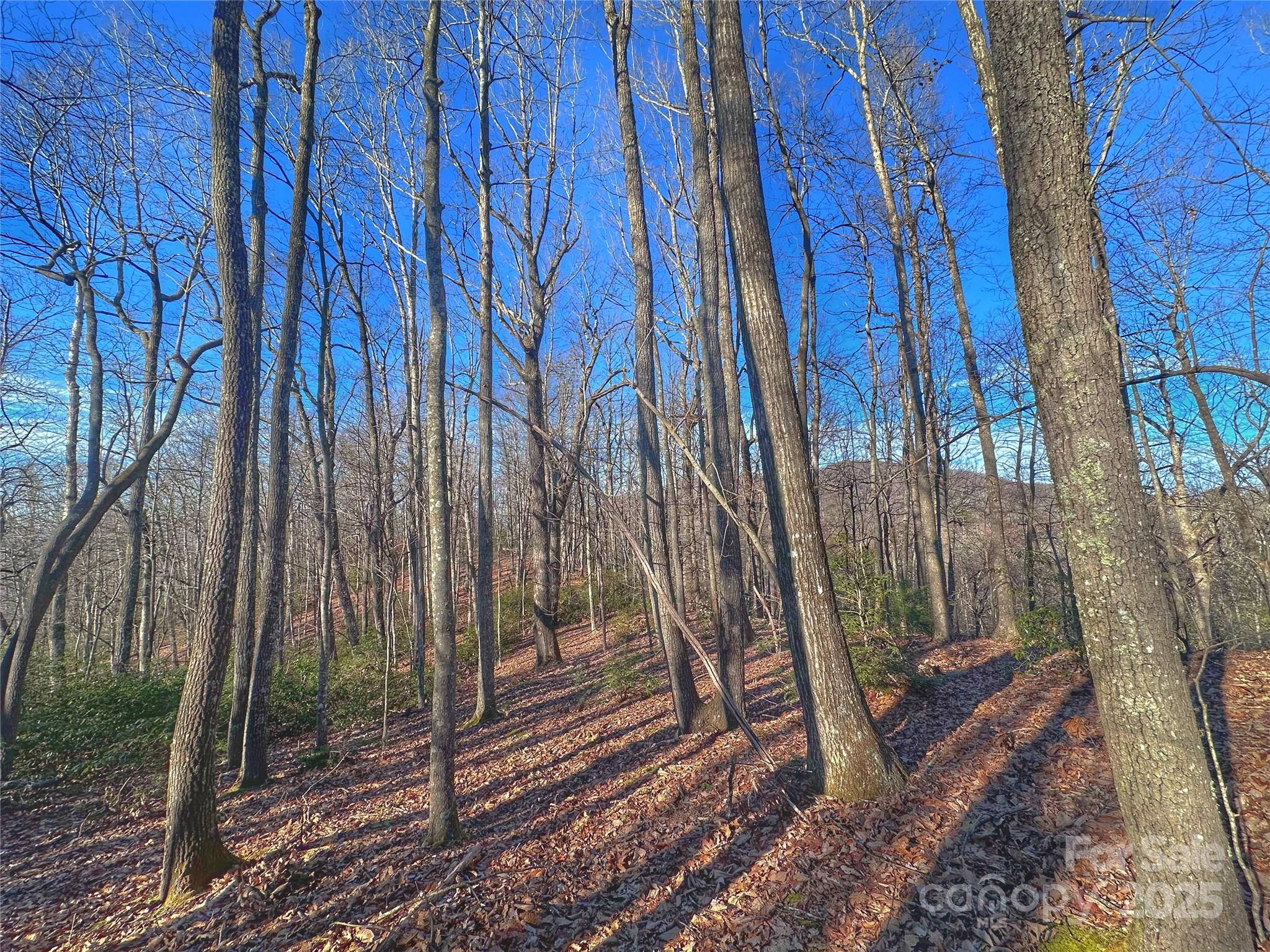 13 Rolling Ridge Trail Property Photo 9