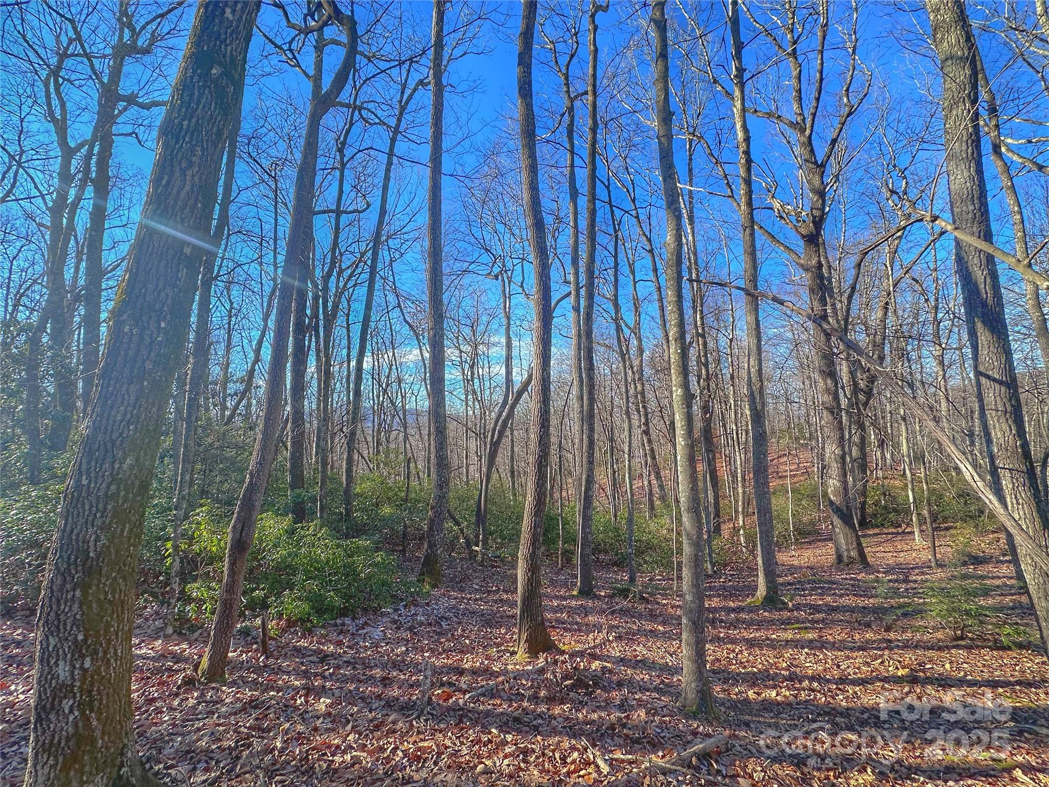 13 Rolling Ridge Trail Property Photo 10
