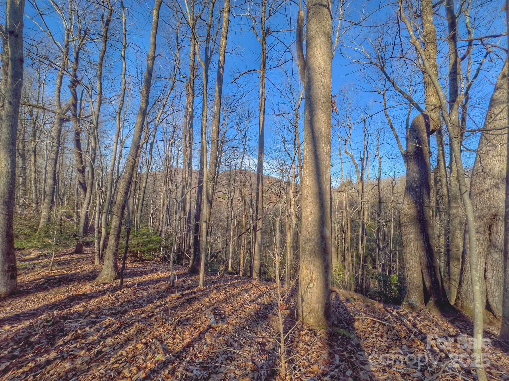 13 Rolling Ridge Trail Property Photo 11
