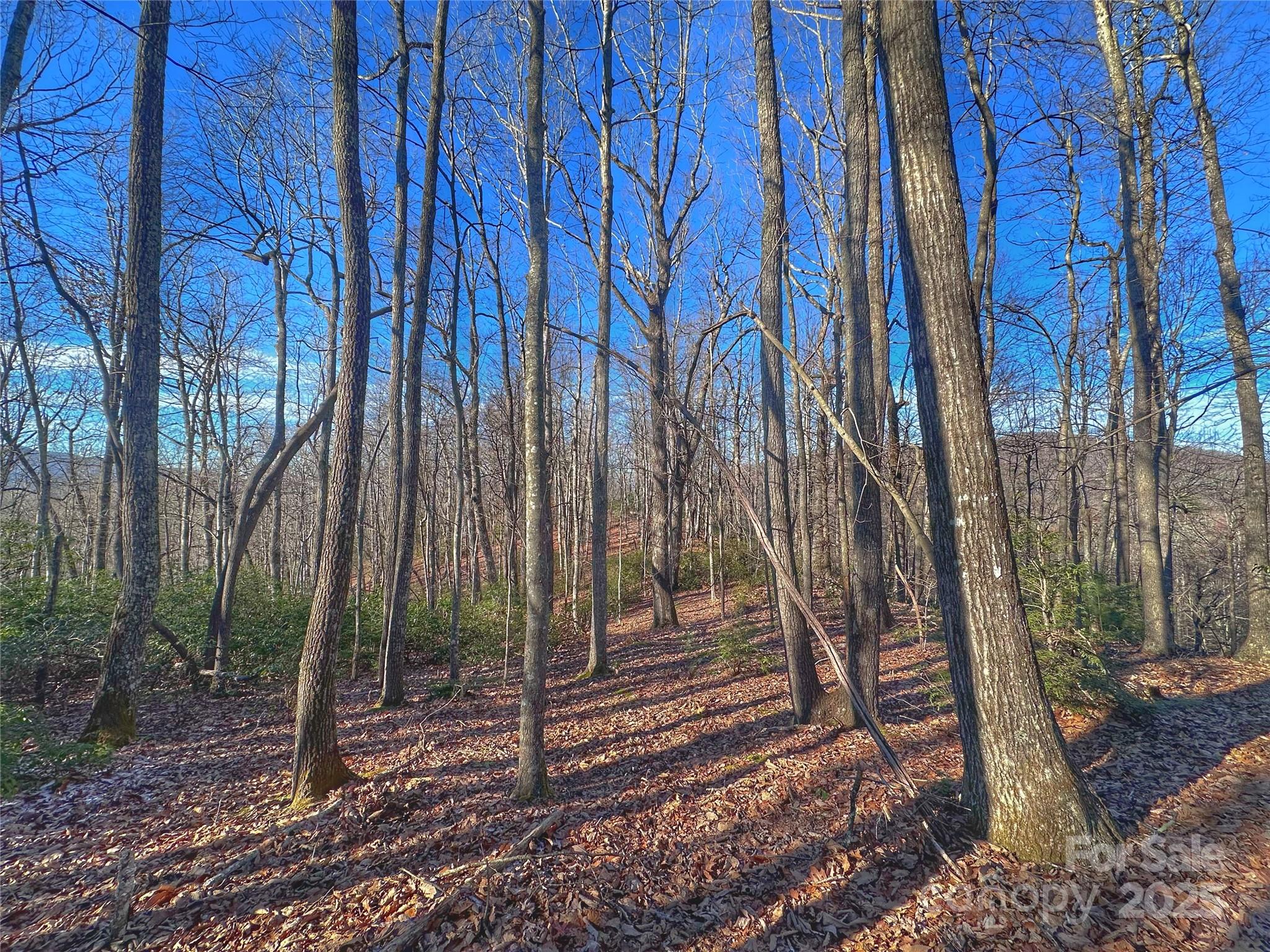 13 Rolling Ridge Trail Property Photo 12