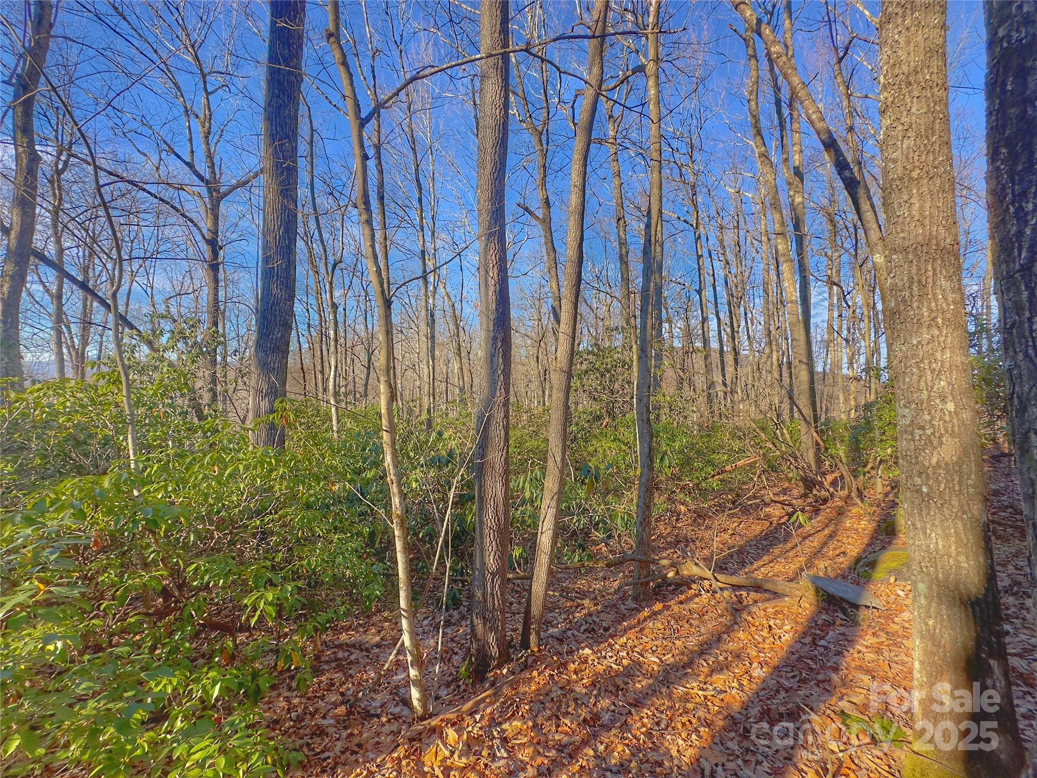 13 Rolling Ridge Trail Property Photo 13