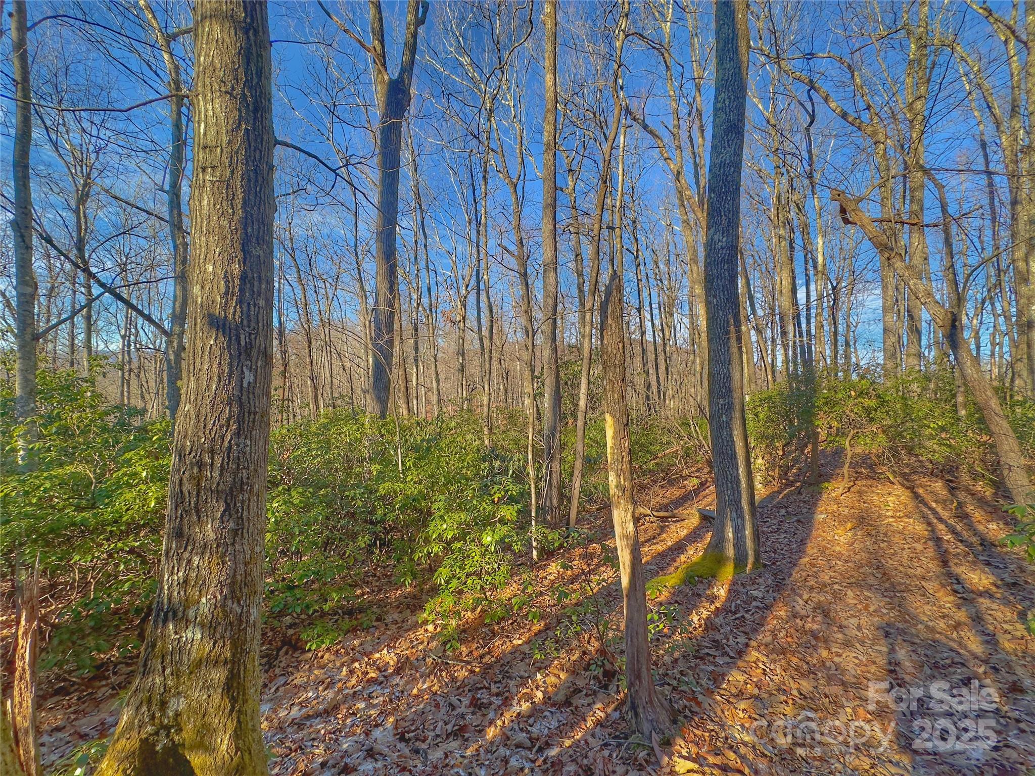 13 Rolling Ridge Trail Property Photo 14