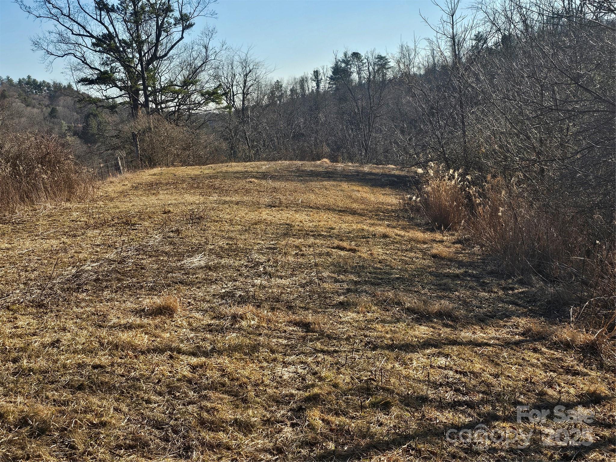 1820 Grapevine Road Property Photo 2