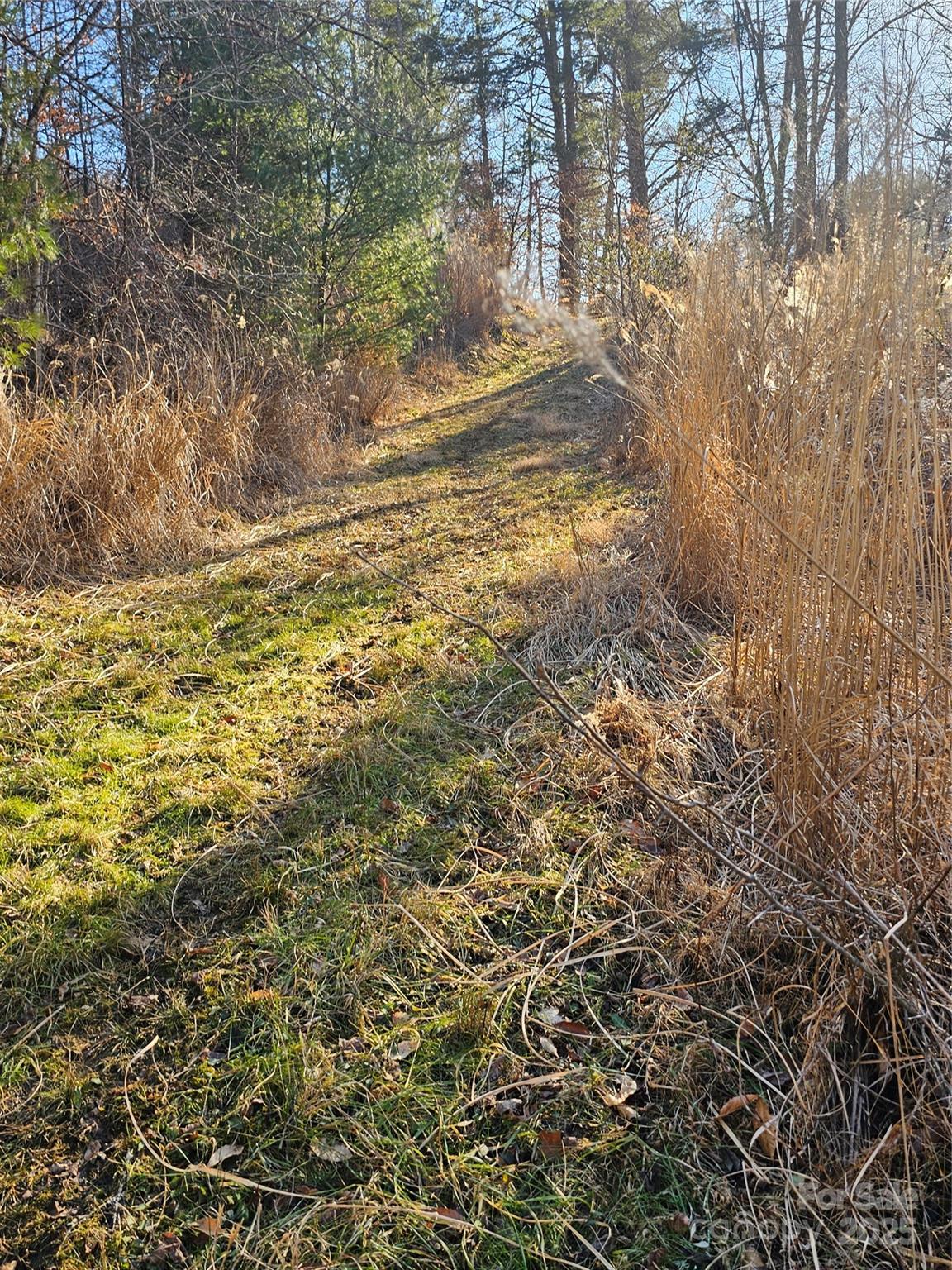 1820 Grapevine Road Property Photo 8
