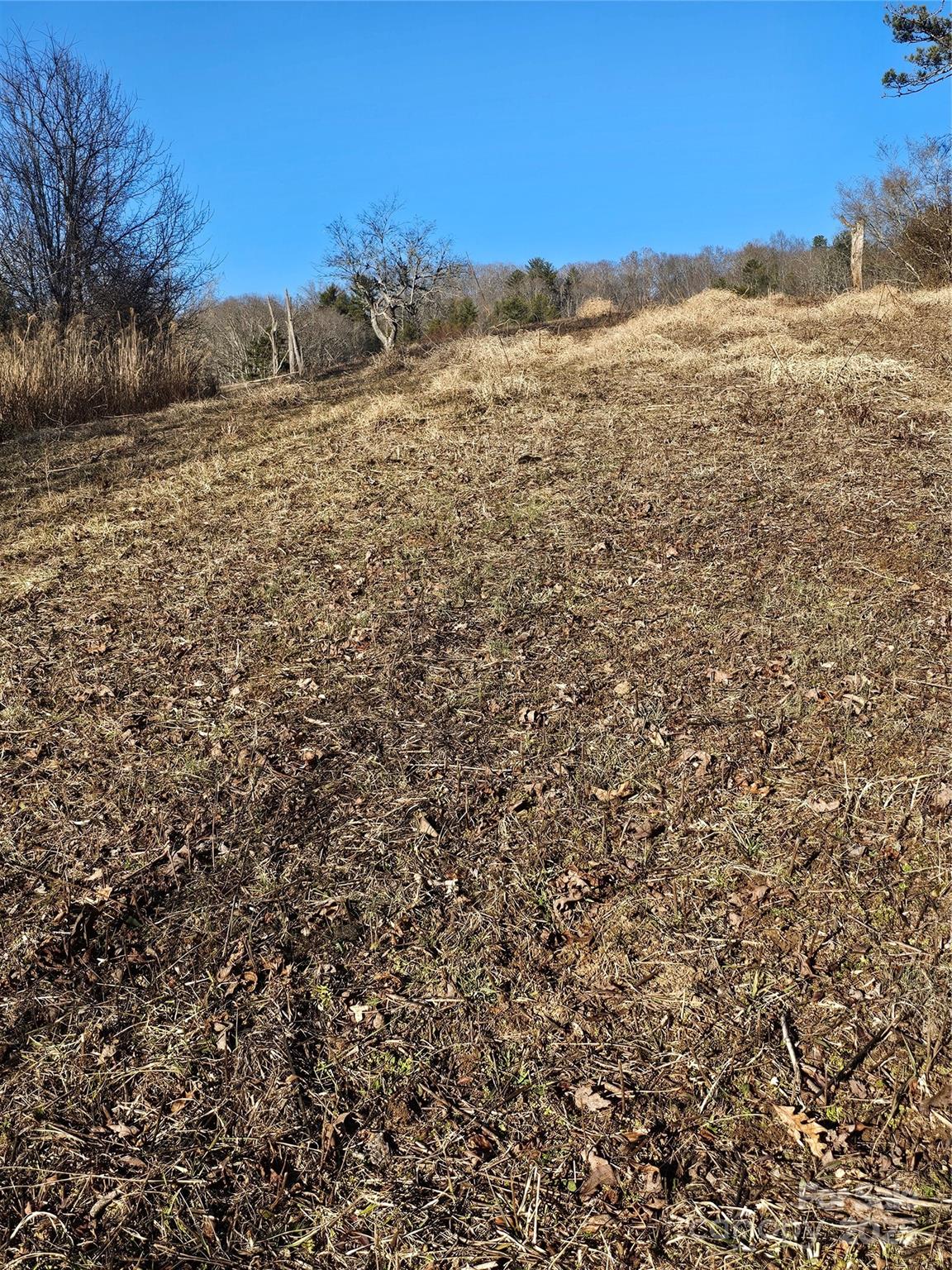 1820 Grapevine Road Property Photo 18