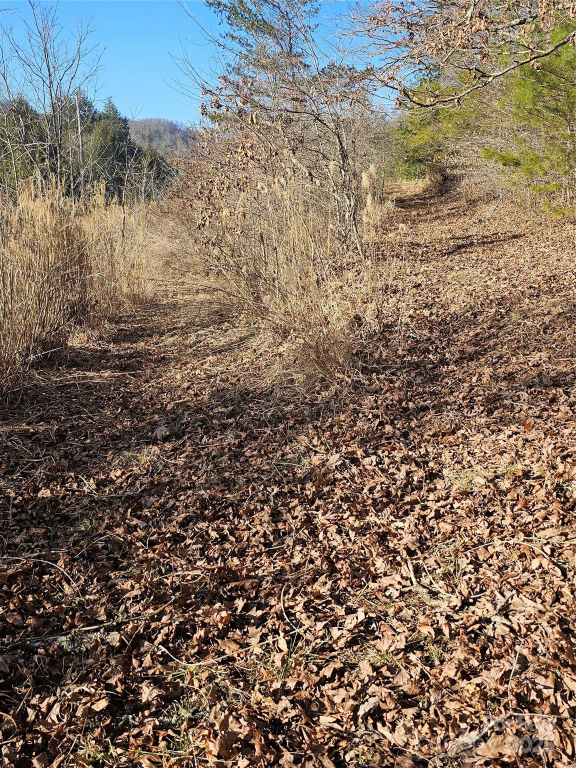 1820 Grapevine Road Property Photo 19