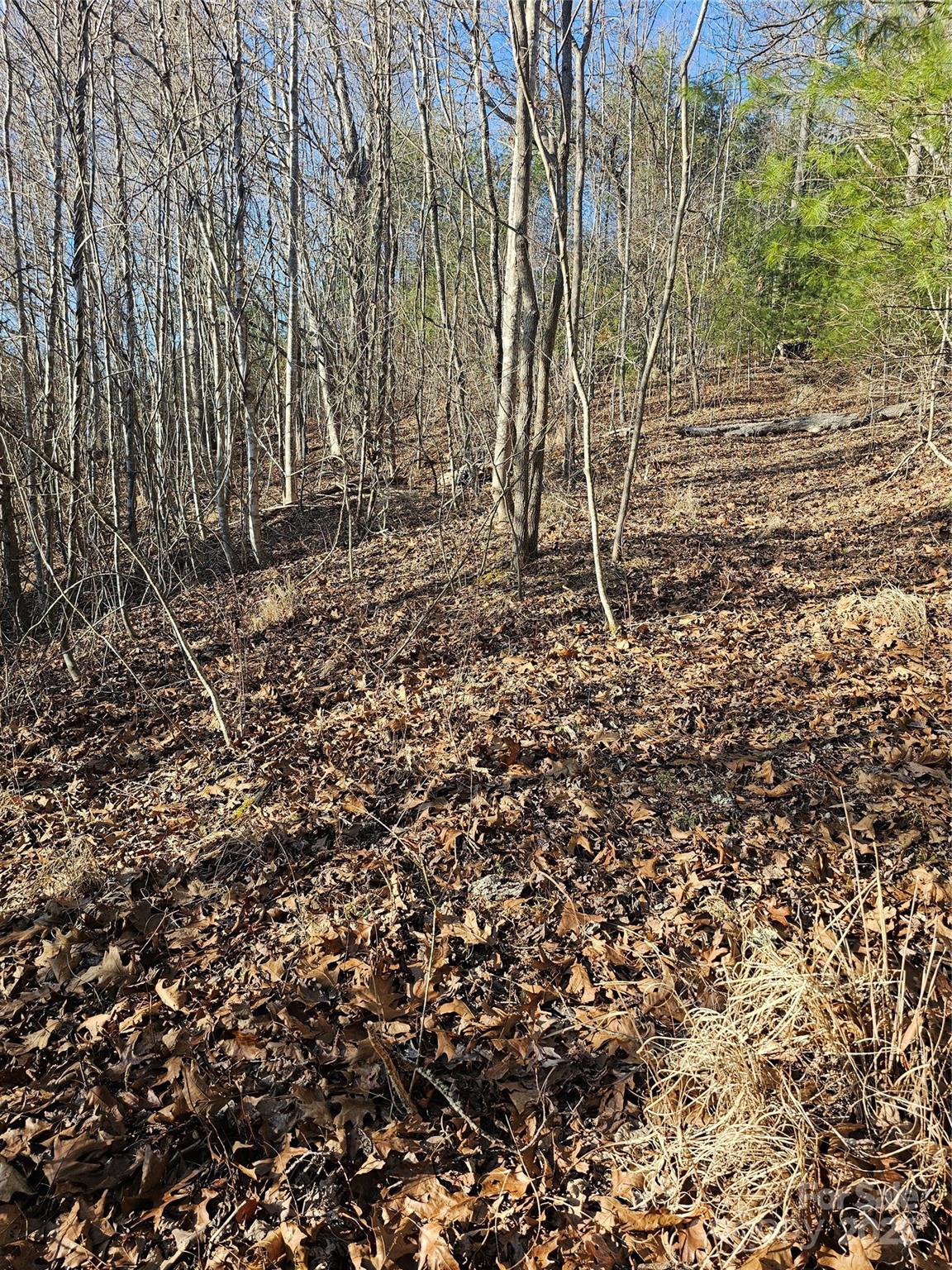 1820 Grapevine Road Property Photo 20