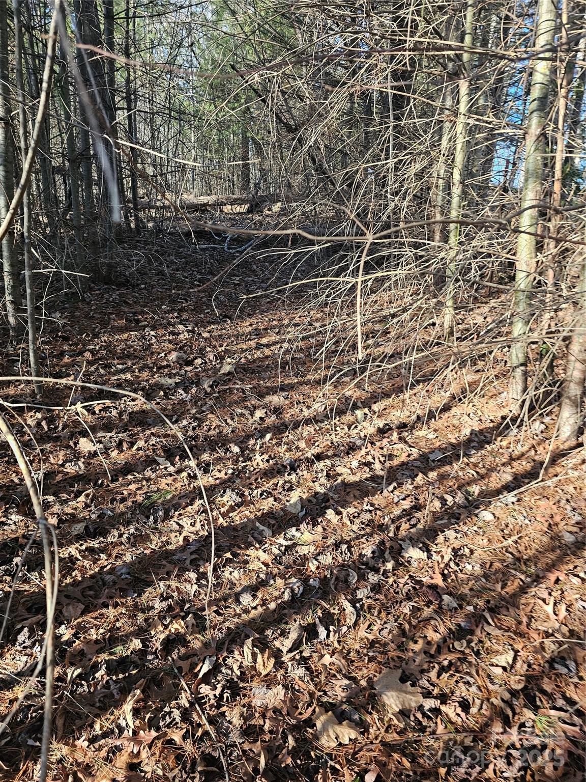 1820 Grapevine Road Property Photo 22