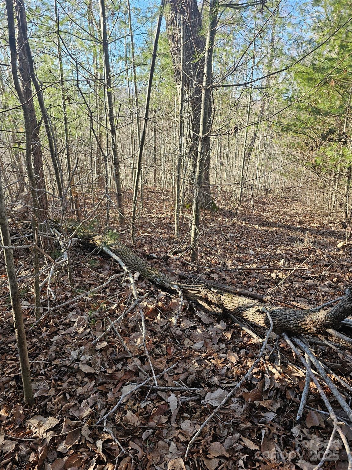 1820 Grapevine Road Property Photo 23