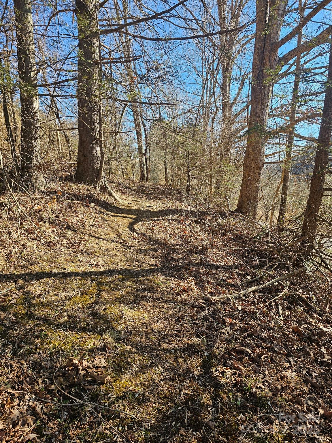 1820 Grapevine Road Property Photo 24