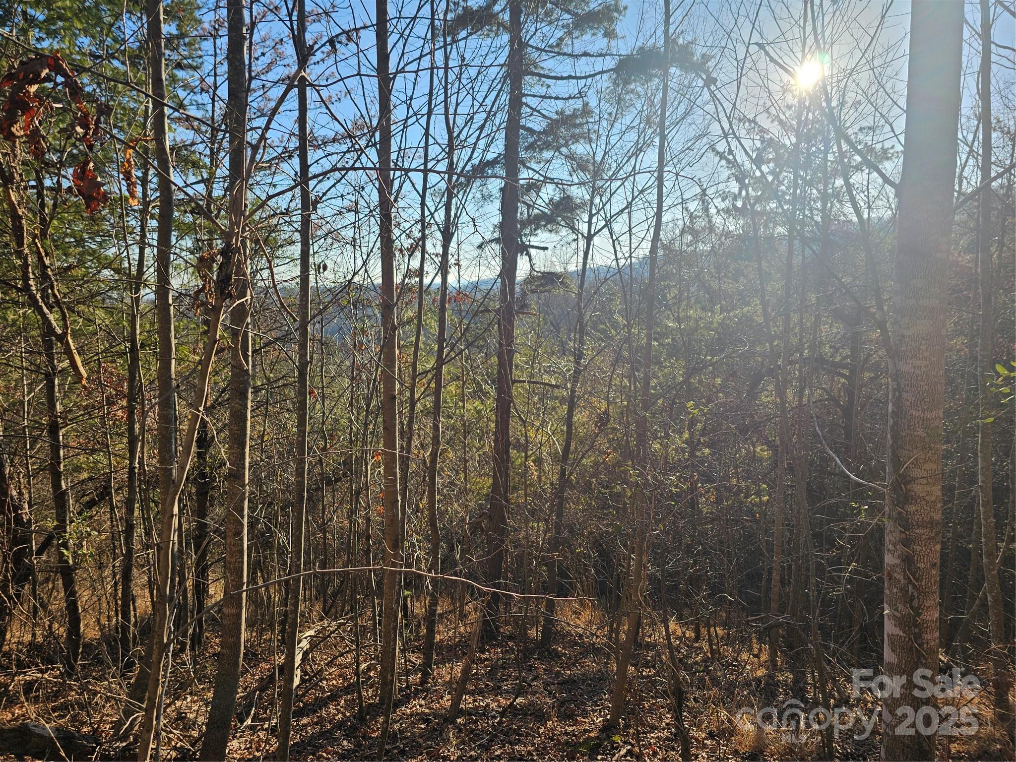 1820 Grapevine Road Property Photo 25