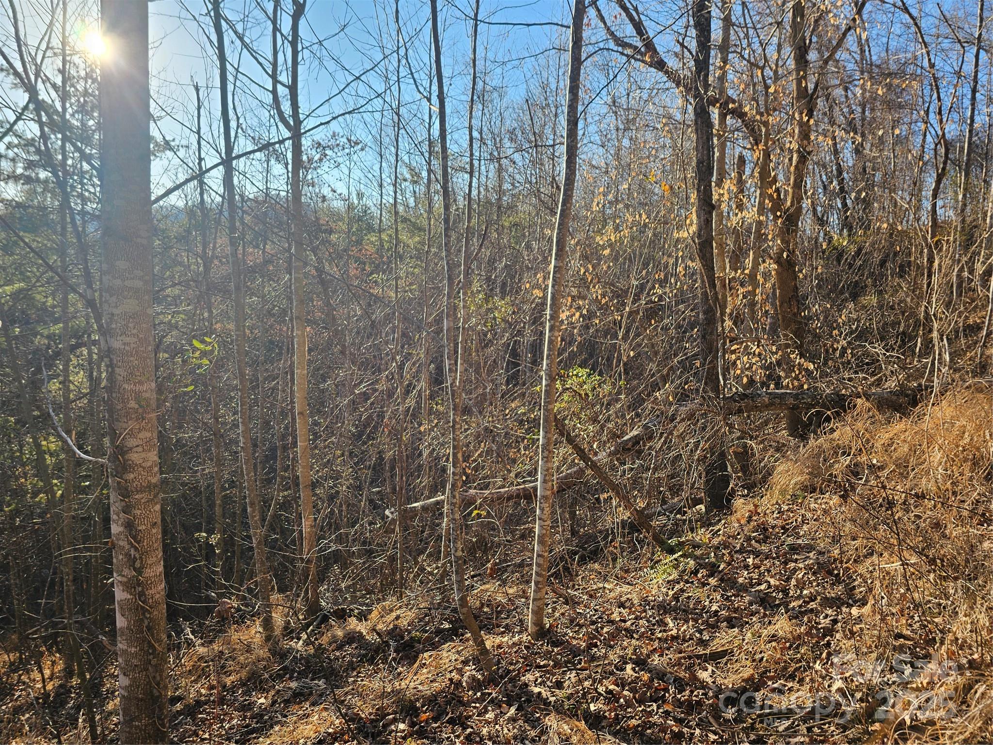 1820 Grapevine Road Property Photo 26