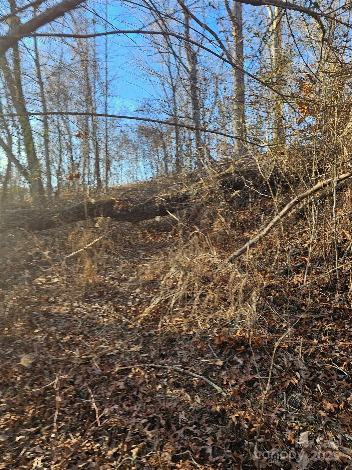 1820 Grapevine Road Property Photo 27