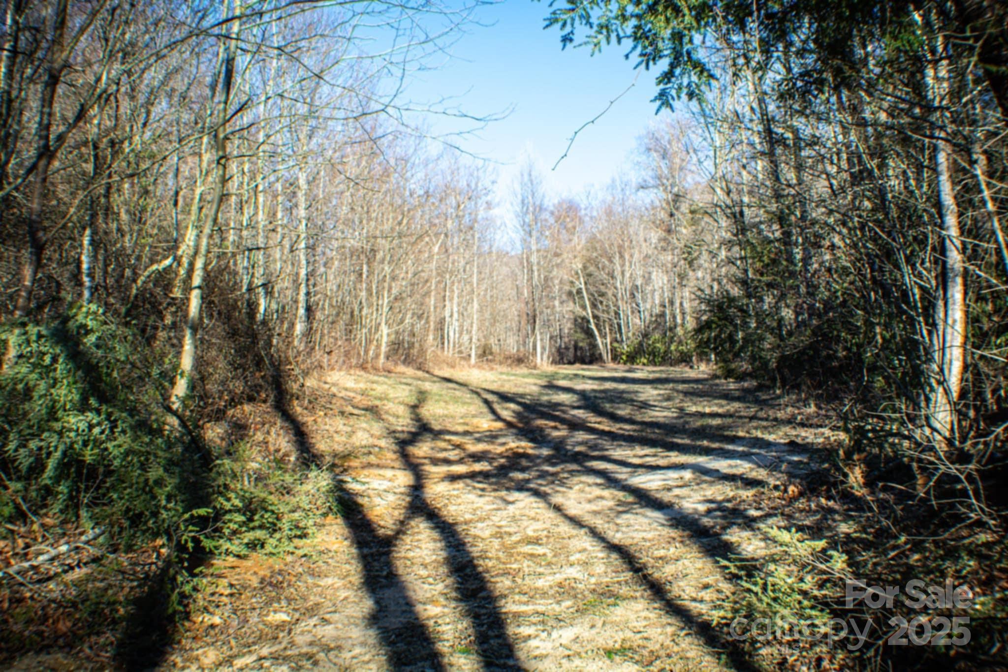 17 Hickory Acres Road Property Photo 3