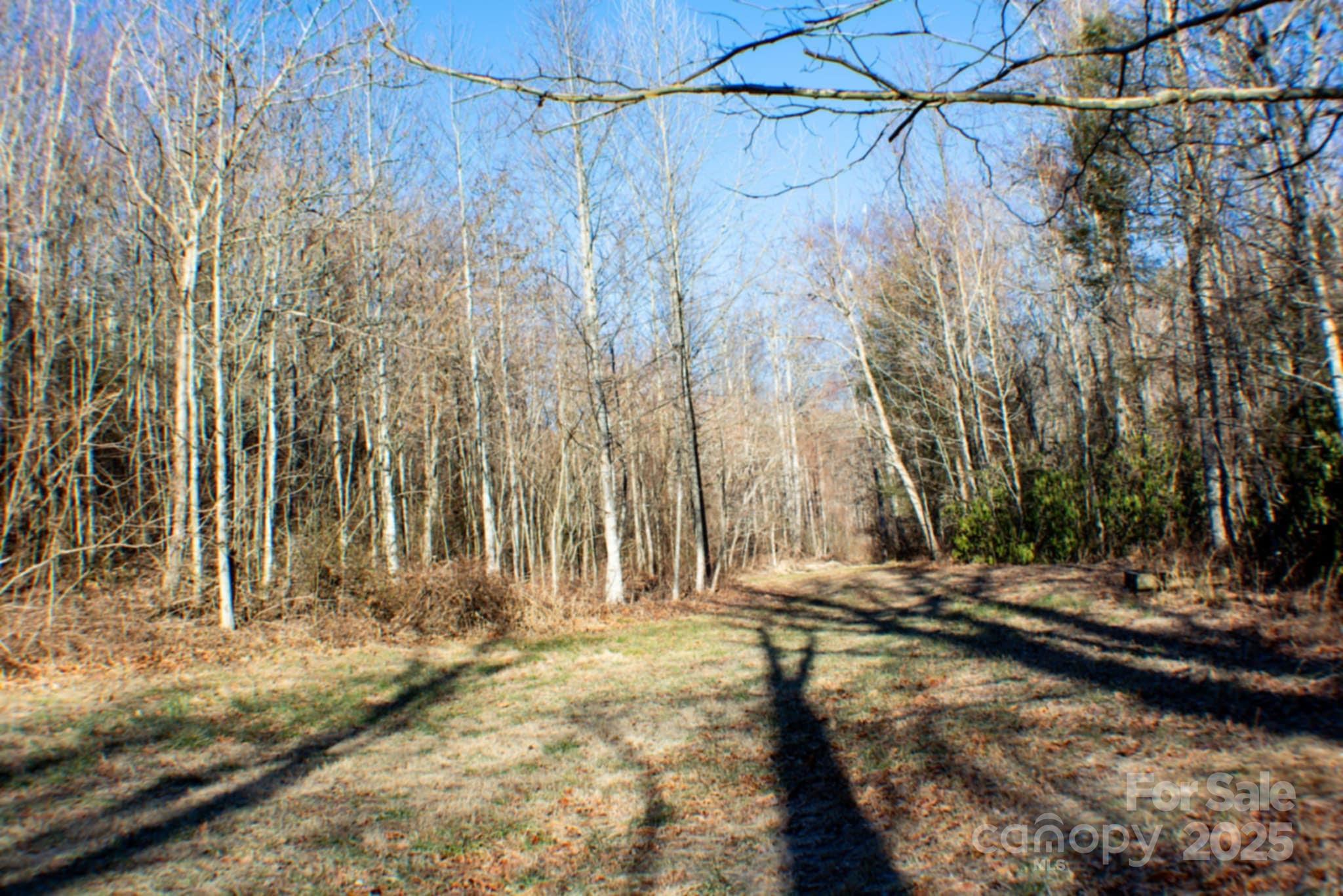 17 Hickory Acres Road Property Photo 5
