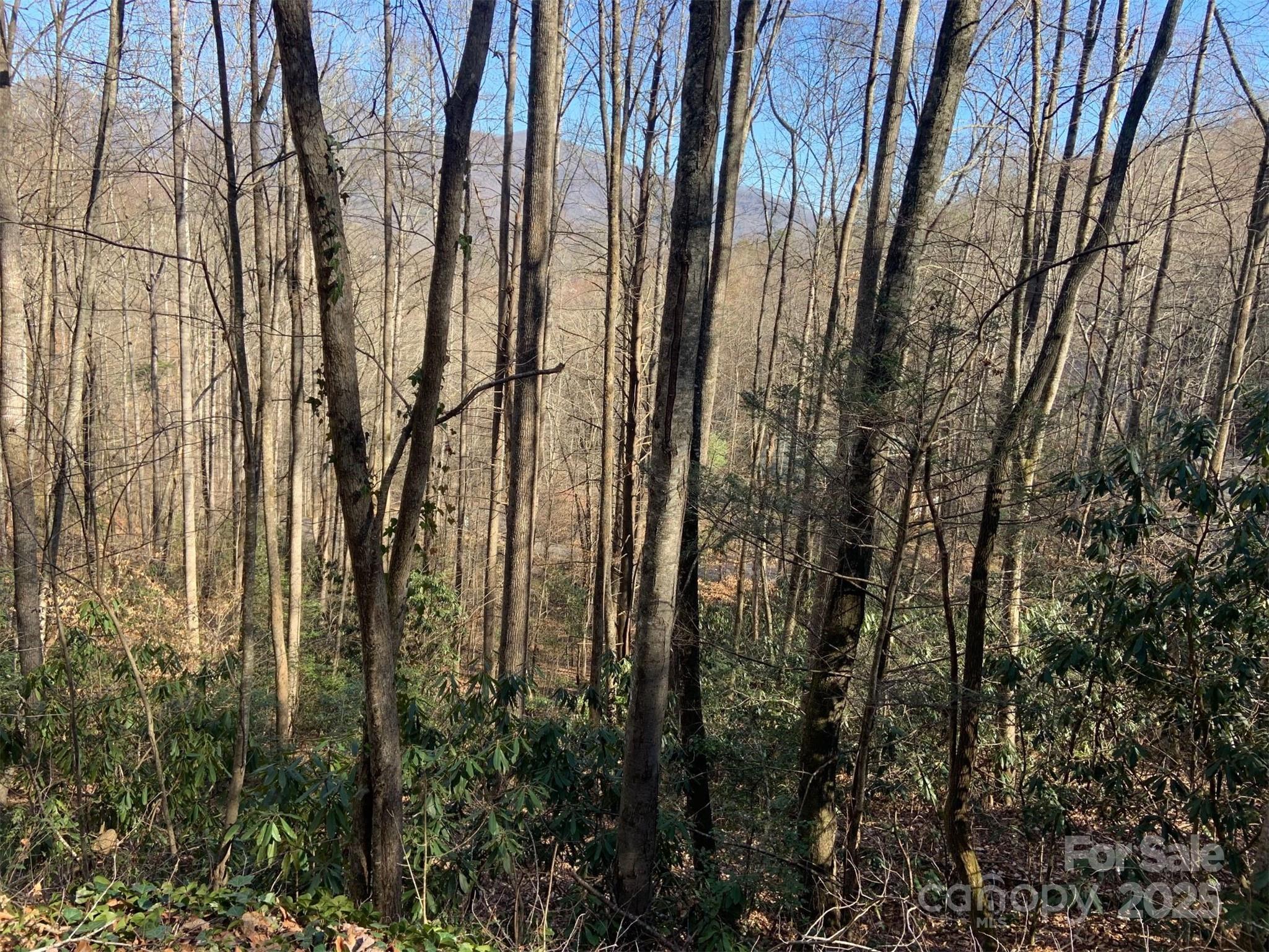 Tr 6 Little Bit Trail Property Photo
