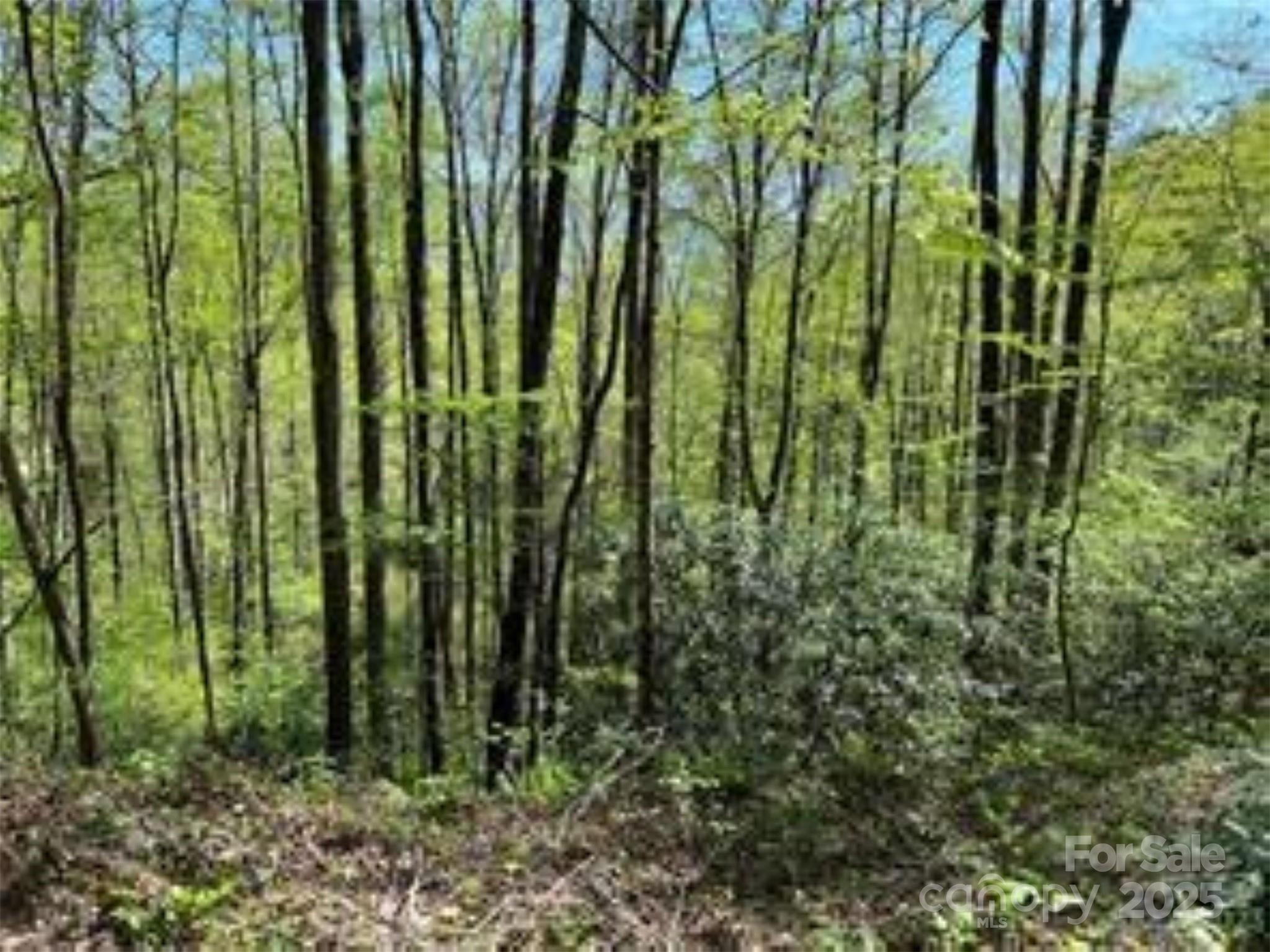 Tr 6 Little Bit Trail Property Photo
