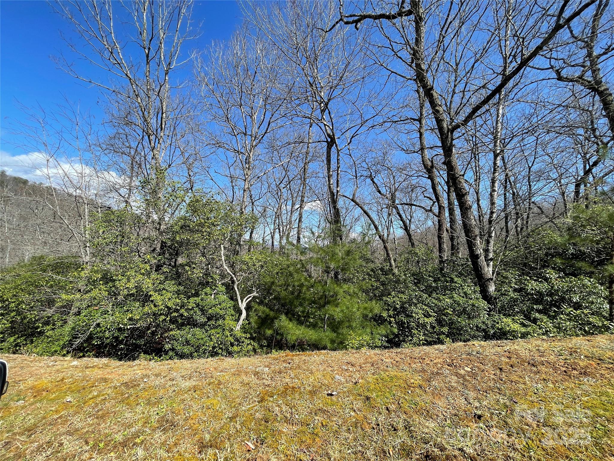 Lot 85-r N Running Deer Trail Property Photo