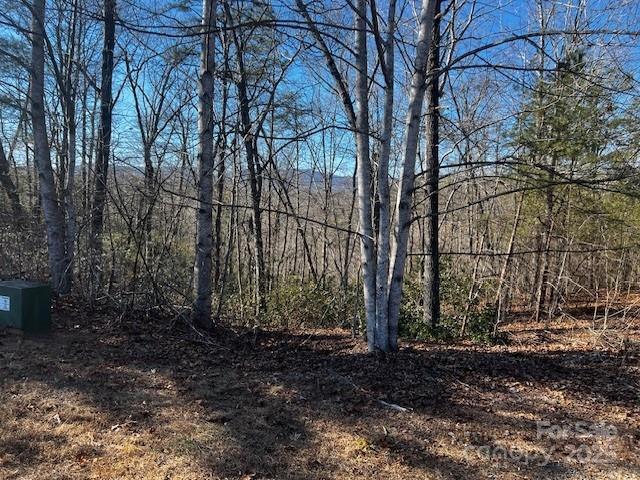 Lot 37 N Mountain Lane Property Photo