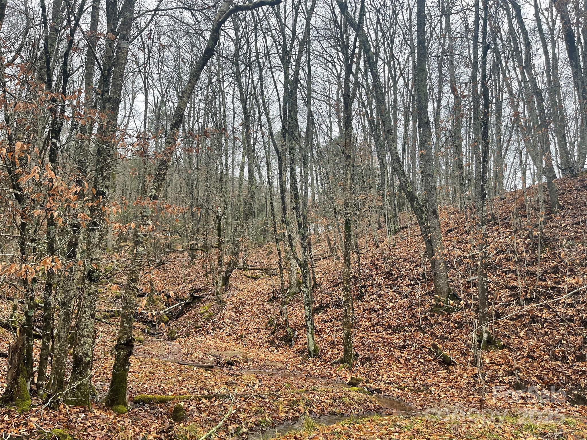 107 Pond Creek Lane Property Photo