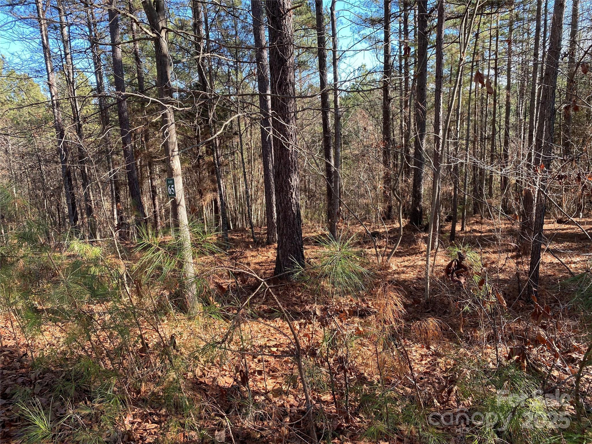 2052 Lighthouse Lane Property Photo