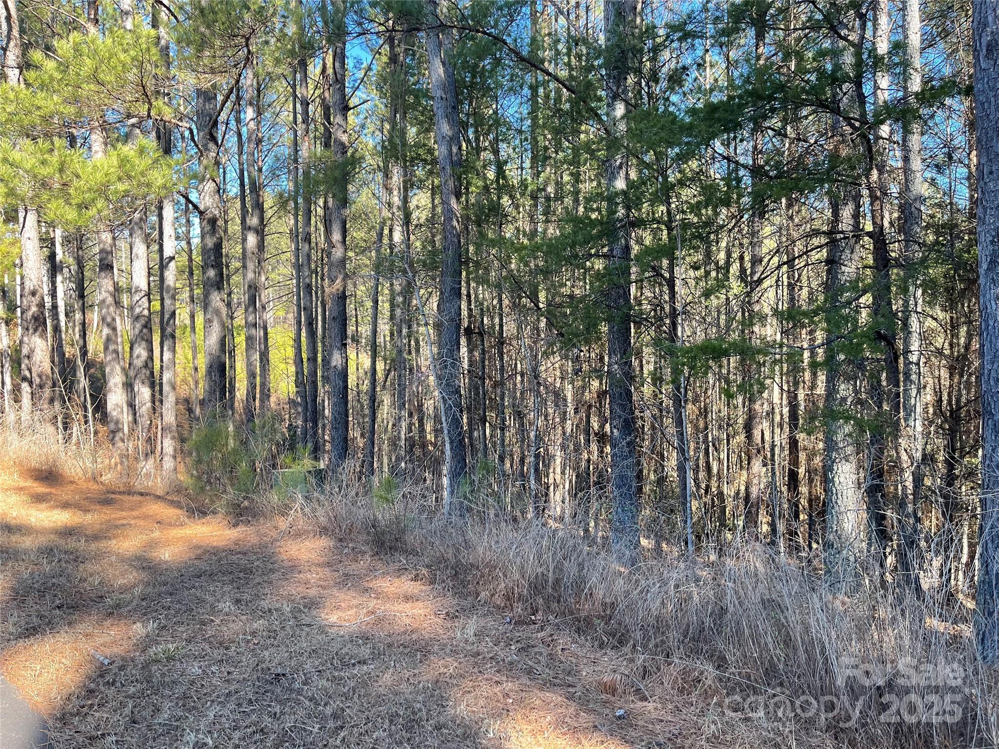 109 Shortoff Trail Property Photo 1